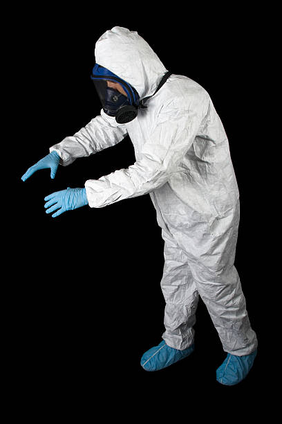 Trusted Sunrise, FL Mold Removal Experts